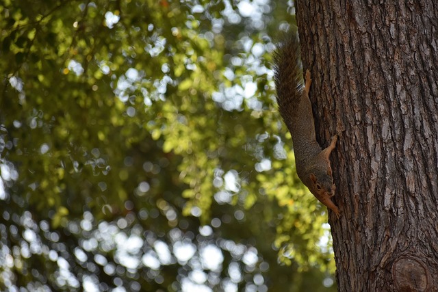 梅西还是C罗？马特乌斯：我选梅西，过去15年他对足球更重要