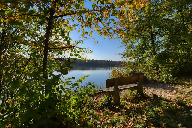 NBA常规赛焦点球队表现总结