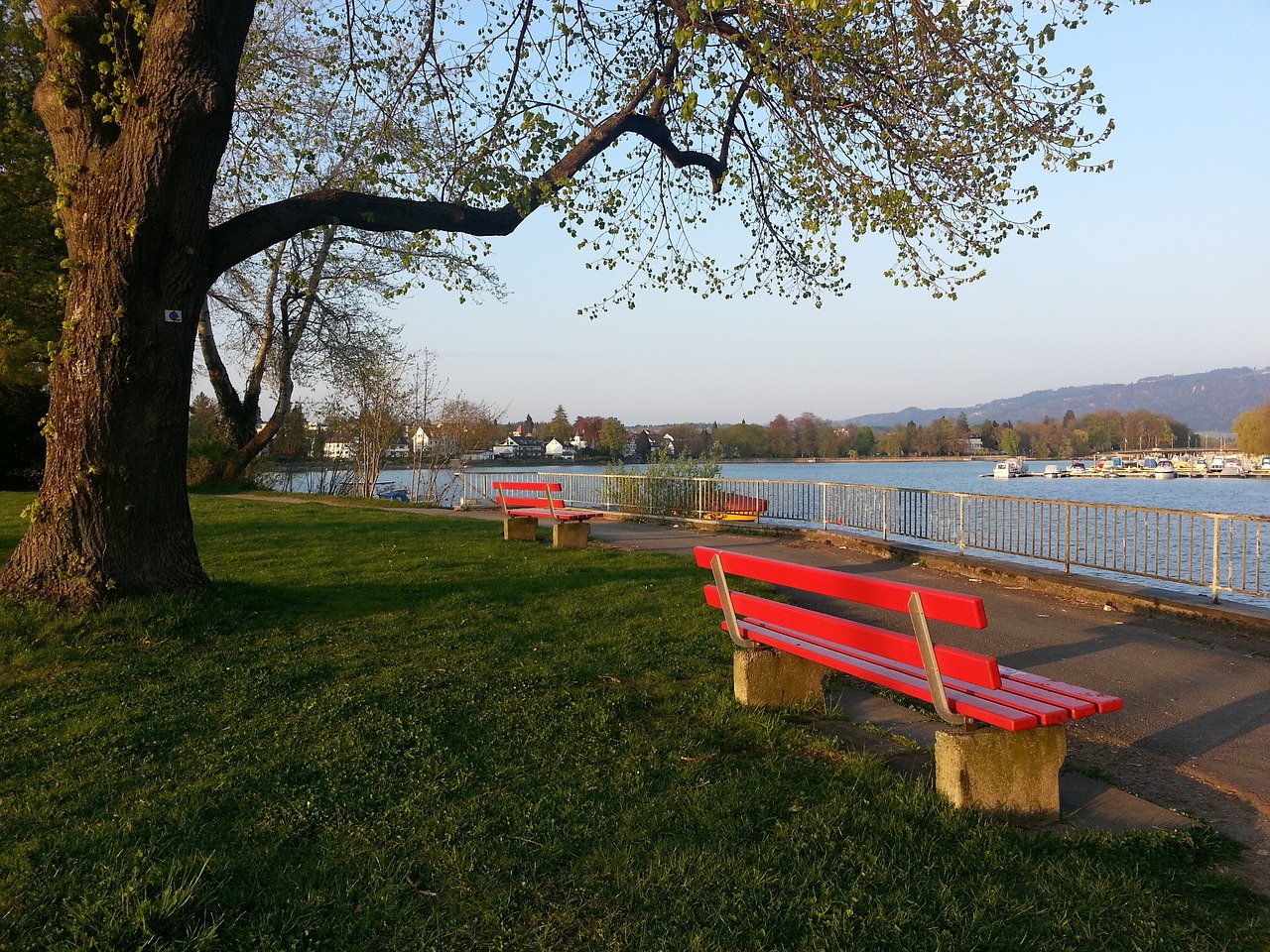 罗马名宿贾尼尼：佩7去尤文、米兰都能当主力，他配得上续约